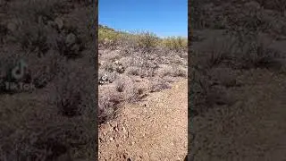 #az #tucsonaz #hiking