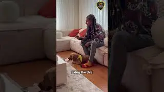 ANNELİK & KÖPEK ANNELİĞİ
