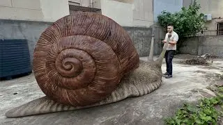 Rare Footage of a GIANT SNAIL - REAL or NOT?