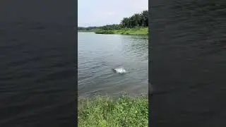 OMG! Unbelievable This Fishing on The Road After Flood