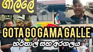Gotagogama | Galle | Srilanka