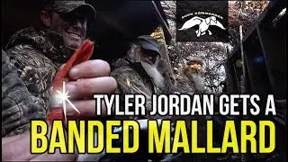 Realtree Tyler Jordan Gets Banded Mallard In Duck Commander Blind - FULL EPISODE