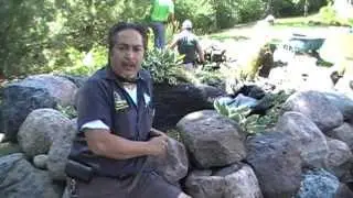 General pond safety and young children