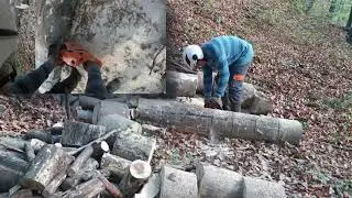 Rezanje suvih bukovih trupaca (rad sa testerom Womax W-KS 3000B)