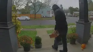 Porch pirate gets scoop of poop in fake package