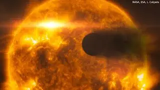 Growing up in a rowdy household: a star&rsquo;s role in shaping the lives of its exoplanets