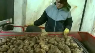 Sunkus darbas in UK.3gp