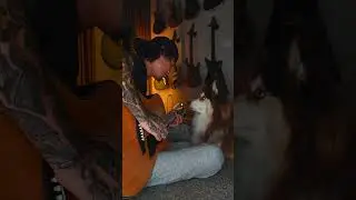 Just a boy and his dog🥺 #music #love #acousticguitar #guitardog