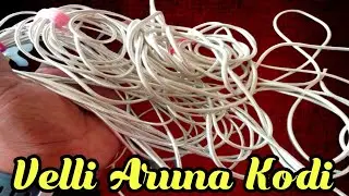 Velli Kodi With Price | Silver Hipchain For Men's | Silver Aruna Kodi