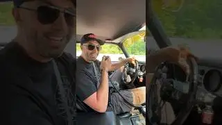 POV: you&rsquo;re in Smokey and the Bandit 🤠 #smokeyandthebandit #pontiac #transam