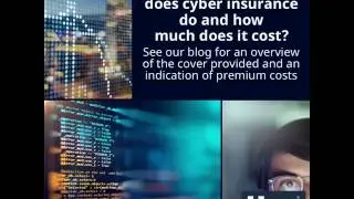What does cyber insurance do and how much does it cost?