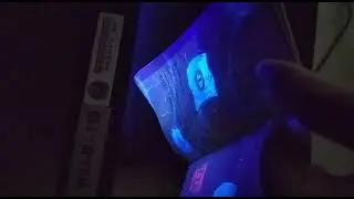 U.V. Pasaporte R.E.M.L.
