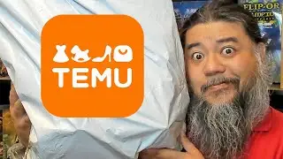 TEMU sent me a huge package - MJR Collector