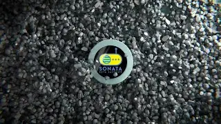 Sonata News Room 19-01-2026