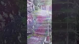 Exploring Poco da Gola Waterfall #portugal #walkingtour #waterfalls