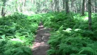 Bay Circuit Trail: Medfield MA Shattuck Reservation Part 6.