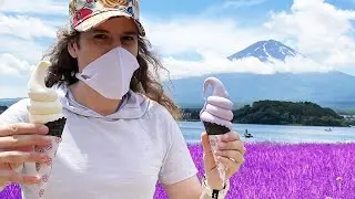 Voyager au Japon en 2020