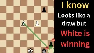 This one is one of the trickiest chess puzzle I have ever seen.