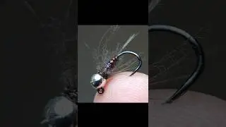 Duracell Jig. Deadly Euro Bug
