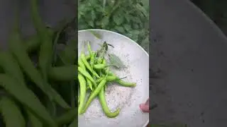 Pinuti ko siling sigang