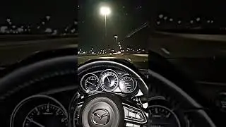 night drive Saudi Arabia