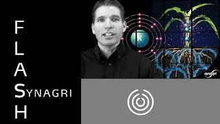 Flash Synagri - Comment redonner au sol son plein potentiel