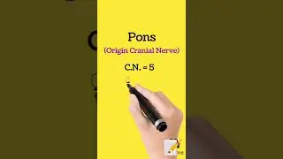 #aiapget #aayuveda #pons