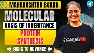 Class 12 Biology - Chp 4 Molecular Basis of Inheritance | Protein Synthesis | Part 4 | Gyanlab