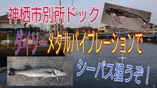 波崎の別所ドックでシーバスを狙ってみた！！