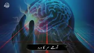 Islamabad Hijama Care Clinic l Best Hijama Clinic l Cupping Therapy Center l Detoxification Center