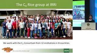 ILSI RF &ndash; SABC2017: Engineering a C4 Rice Prototype (Dr. HsiangChun Lin)