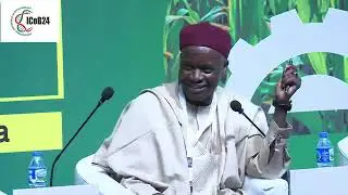 International Conference on Biotechnology.  The Essence of Being a Professor