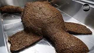Satisfying ASMR Dirty Goose Plush Deep Cleaning | No Talking