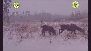 Zima w Mazowieckim Parku Krajobrazowym