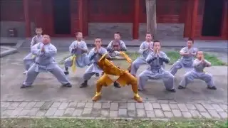 Master Prabhakar Reddy Shaolinsidia Best Tai chi Training Indian Wushu Warrior Camp