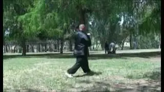 Bagua Zhang (Tao Lu) [07] Shimon Levin