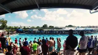 We have the best swimming carnivals
