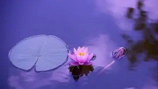 autumn sky meditation music for relaxing your mind and body for confident feel and successful life..