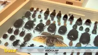 BioQuip Overview-Entomology Equipment