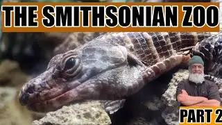 The Mammal and Reptile Exhibit at the SMITHSONIAN ZOO | Part 2