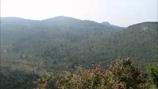 Sam Knob