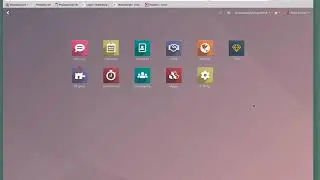 Video of Problem with Odoo