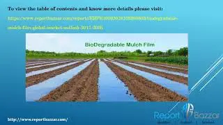 Biodegradable Mulch Film - Global Market Outlook (2017-2026)