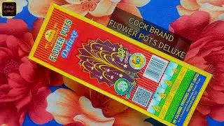 Testing FLOWER POTS DELUXE from cock brand | #diwali #crackers #diwali2023 #celebration