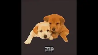 Drake - My Dogs (FOR ALL THE DOGS LEAK)