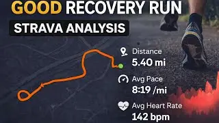 This Is What a GOOD Recovery Run Looks Like | Strava Anal