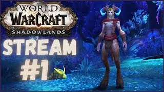 WOW SHADOWLANDS STREAM / Walkthrough no commentary. Shadowlands World of Warcraft Gameplay