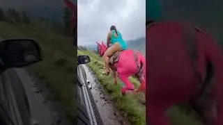 Worst ride of her life 😬🐴 #shorts #ytshorts #funny #fail #donkey #unexpected #viralshorts#lol#oops