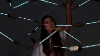 Diomedeid&aelig;, LEXUS DESIGN AWARD 2015 Prototype Winner