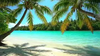 Blue Lagoon ASMR 8K &ndash; Coconut Palms & Sunlit Calm 🌴🌊